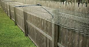 Free Standing Cat Fence Enclosure System Cat Fence Cat Proofing Outdoor Cat Enclosure