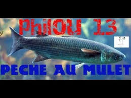 Peche A Martigues Au Mulet Youtube