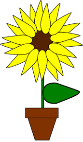 Bunga matahari kuning dan coklat,, bunga matahari, gambar format file, presentasi, biji bunga matahari png. Gambar Bunga Matahari Animasi Hitam Putih Kata Kata