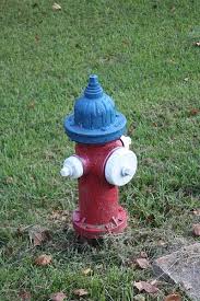 fire hydrant colors actually mean something