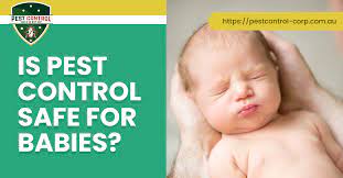 Is Pest Control Safe For Babies Risks And Safety Tips