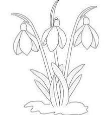 Snowdrop Template Google Search Flower Drawing Floral Art Design Embroidery Patterns