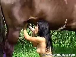 Horse sex whores 10 - Free Horse Porn - Zoo Porn Horse at Katitube