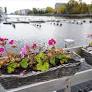 Concerns Over Political Integrity and Governance Impact Public Trust in Sweden