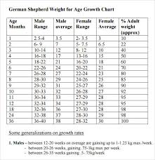 German Shepherd Growth Chart With Pictures Luxury Top Result