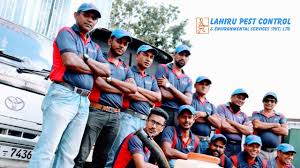 Urban pest control service in bangalore. Lahiru Pest Control Environmental Services Pvt Ltd Home Facebook