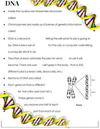 Primeras elecciones electrónicas cadcc 2002 tomás. Dna Basic Vocabulary Worksheet