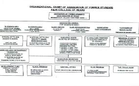 Organizational Chart The Importance Of Organizational