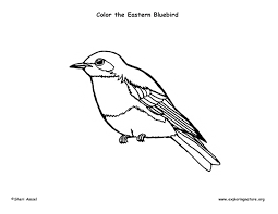 Find more blue bird coloring page pictures from our search. Bluebird Coloring Page