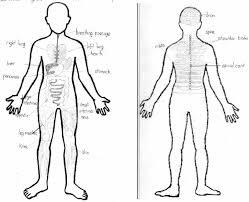 In the human body, there are five vital organs that people need to stay alive. A Students Drawing Of A Front View And B Back View This Drawing Download Scientific Diagram