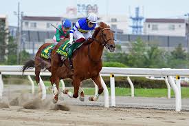 156,127 likes · 5,592 talking about this. Web Furlong 2020 ãƒ¬ãƒ¼ã‚¹ãƒã‚¤ãƒ©ã‚¤ãƒˆ ç¬¬32å›ž ã‹ã—ã‚è¨˜å¿µ Jpn