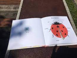 旅行筆記picture books acquired in paris 2016 picture book books pictures