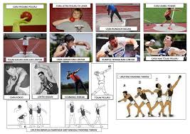 Sukan padang dan balapan segar. Kami Guru Sukan Balapan Dan Padang Olahraga Photos Facebook