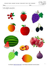 Fruits Worksheet 6 Circle Only The Summer Fruits Shape Activities Preschool Kids Worksheets Preschool Summer Fruit
