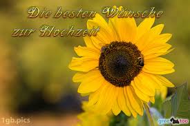Es werden einige bilder vorgestellt, die ein motiv zum thema liebe oder ehe. Die Besten Wunsche Zur Hochzeit Whatsapp Bilder 1gb Pics