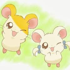 Hamtaro Hamtaro Kawaii Wallpaper Kawaii Chibi