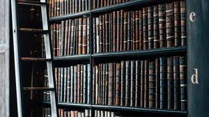 Shelves Full Hd Hdtv Fhd 1080p Wallpapers Hd Desktop Backgrounds 1920x1080 Images And Pictures Download hd wallpapers for free on unsplash. shelves full hd hdtv fhd 1080p