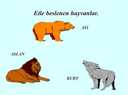 Hazirlayan Volkan Iyitoglu Ppt Indir