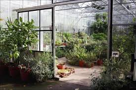 Outdoor Magnificent Plexiglass Greenhouse Kits Greenhouse Plastic At Lowes Polythene Sheets Greenhouse Covering Pl Greenhouse Greenhouse Cover Greenhouse Kit
