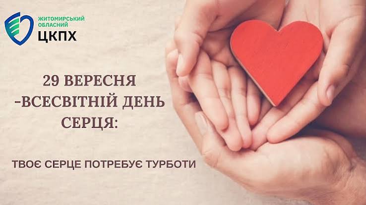 https://encrypted-tbn0.gstatic.com/images?q=tbn:ANd9GcSRBXKCIo4Xut4lPShsH_uWDBXSFDExZWQ9KdfKFu1yoA&s=10