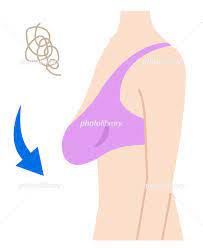 垂れ乳 女性の体 イラスト素材 [ 6414619 ] - フォトライブラリー photolibrary