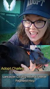 Florence Lamb Arnold