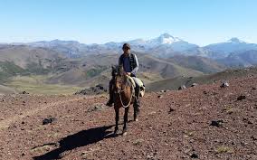 See reviews and photos of parks, gardens & other nature attractions in argentina, south america on tripadvisor. Horseback Trip Argentina Patagonia Packtrip Natucate