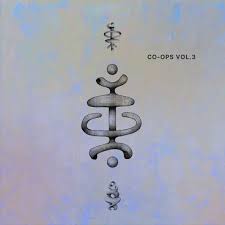 Image result for Echophenomena