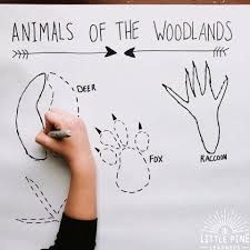 Diy Woodland Animal Track Tracing Activity Little Pine Learners Animal Activities For Kids Animal Tracks Woodland Activities