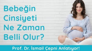 Anne karnında bebeğin cinsiyeti gebeliğin 16. Hamilelikte Bebegin Cinsiyeti Ne Zaman Belli Olur Anneysen
