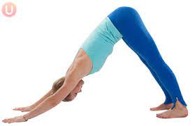 Positioning the head below the heart flips the if you're new to yoga, even holding downward dog for a few seconds can cause the muscles in your upper half to tremble. How To Do Downward Dog Get Healthy U