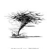 Approximately 1,200 of these violent storms touch down, killing an average of 60 people, injuring 1,500, and causing $10 billion in property damage. Https Encrypted Tbn0 Gstatic Com Images Q Tbn And9gcrk0xi R5ntulqzubwplqh2r4nlelmwtcarynwg5jwfujsrwlgl Usqp Cau