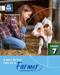 Image result for Panicum chambeshii