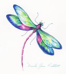 Pencil Drawn Dragonfly From Nicola S River Bank Collection Initial Research For New Textile Designs Dragonfly Painting Dragonfly Artwork Dragonfly Drawing