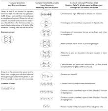 The character of the cell cycle worksheet answer key in learning. Drawing A Link Between Genetic Inheritance And Meiosis A Set Of Exercises For The Undergraduate Biology Classroom Abstract Europe Pmc