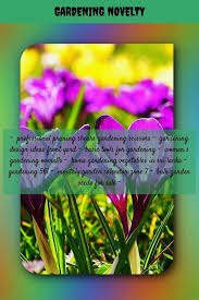 This is such a useful tool if you want to get the most reach out of hashtags on instagram, i highly recommend hashtagsforlikes. Vegetable Hashtags Vegetarian Foody S