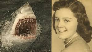 Shark attack kills mother in 90 seconds