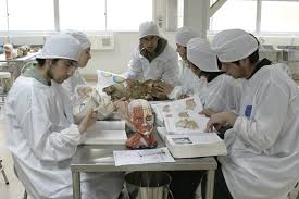 En coordinación con otras áreas de la universidad y de la comunidad, se trabajan distintos aspectos relacionados con el nuevo virus. Congreso De Estudiantes De Medicina Del Maule Universidad Catolica Del Maule