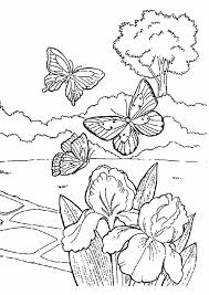 Encourage your child's imagination skills with these beautiful butterfly coloring pages printable, which depict them in various shapes and sizes. Spring Coloring Pages Best Coloring Pages For Kids