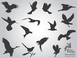 Over 31,590 birds flight pictures to choose from, with no signup needed. Free Flying Birds Silhouettes Clip Art Free Download