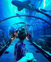 Adventure Aquarium And Outdoors Eikona Aquarium Pictures Aquarium Photos Photography Poses