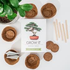 To cause to grow grow wheat. Grow It Bonsai Baume