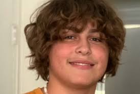 16-year-old Emmaus High School teen killed in crash is mourned by family  and friends