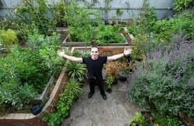 We have our 4×4 raised beds built, placed about 10′ apart on center and filled with soil. Backyard Orchard Culture Permaculture Noosa