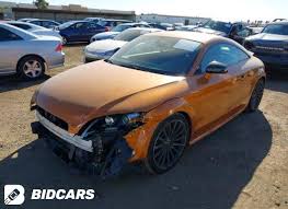 Image result for Samoa Orange 2014 TTS