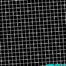 Optical illusion drawing of skull and butterflies flying around. Rotating Grid Optical Illusion