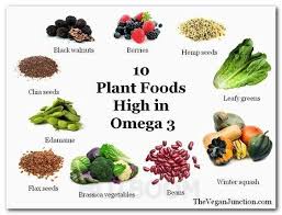 Pin On Protein Rich Foods