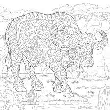 Begin by showing the students a picture of a buffalo and tell the students that the buffalo was the most important animal for the life of the native americans that lived on the plains of the us. Pin On Bunte Kuh