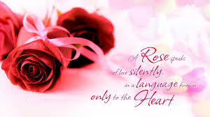Image result for love images