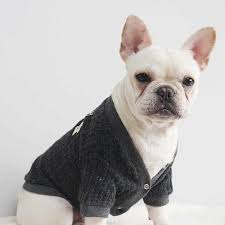 Female french bulldog for sale. French Bulldog Dog Clothes Pug Clothing Bulldog Costume Winter Dog Cardigan Pet Knit Apparel Sweater Dog Coat Dog Coat Dog Clothespug Clothing Aliexpress